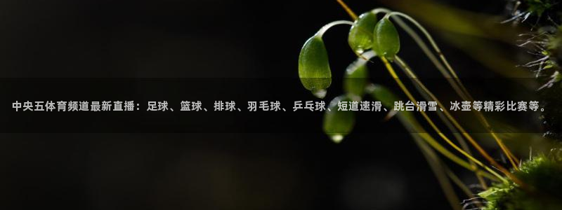 9255tv直播nba在线观看：中央五体育频道最新直播：足球、篮球、排球、羽毛球、乒乓球、短道速滑、跳台滑雪、冰壶等精彩比赛等。