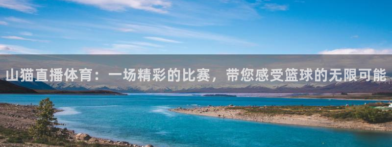 9255tv直播无插件nba：山猫直播体育：一场精彩的比赛，带您感受篮球的无限可能
