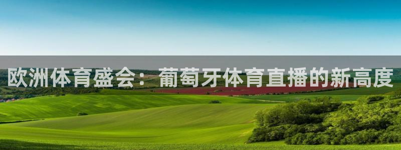9255tv直播nba在线直播：欧洲体育盛会：葡萄牙体育直播的新高度