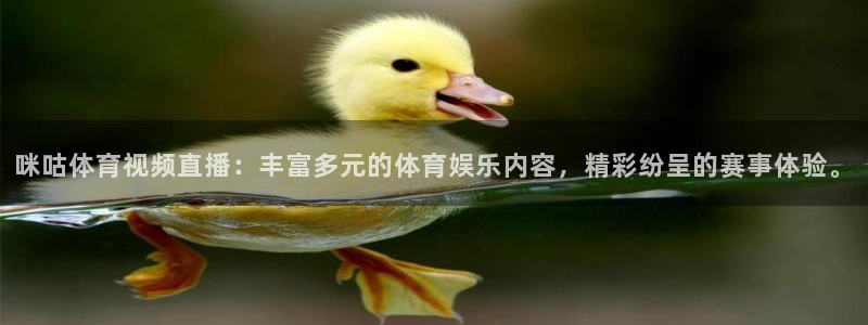 9255tv直播nba在线直播：咪咕体育视频直播：丰富多元的体育娱乐内容，精彩纷呈的赛事体验。