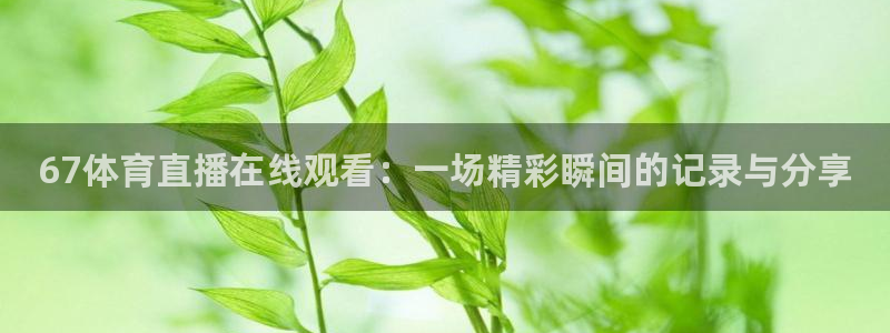 9255tv直播无插件nba：67体育直播在线观看：一场精彩瞬间的记录与分享