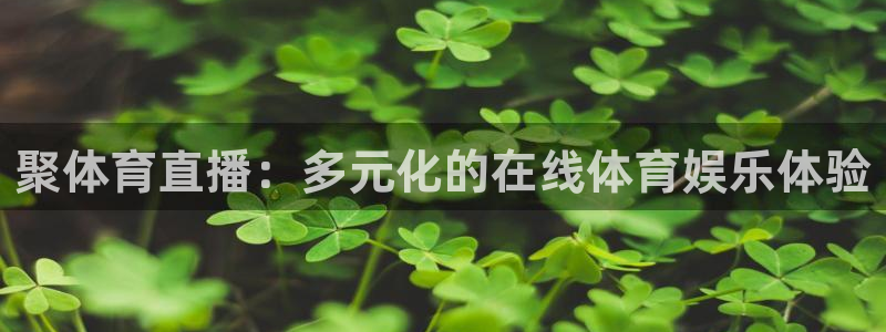 9255tv直播无插件nba：聚体育直播：多元化的在线体育娱乐体验