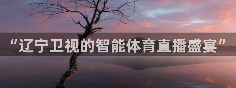 9255tv直播无插件nba：“辽宁卫视的智能体育直播盛宴”