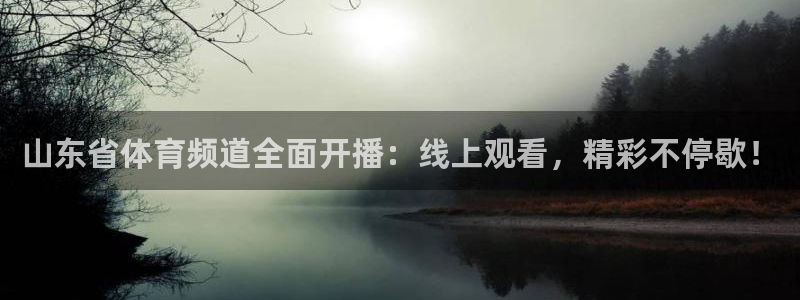 9255tv直播nba在线观看：山东省体育频道全面开播：线上观看，精彩不停歇！