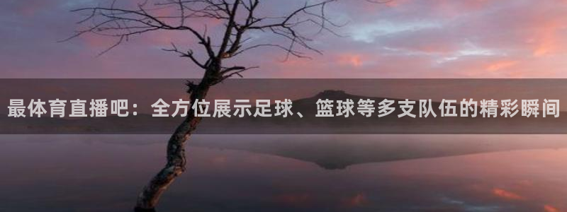 9255tv直播无插件nba：最体育直播吧：全方位展示足球、篮球等多支队伍的精彩瞬间