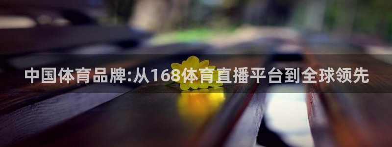 9255tv直播nba在线直播：中国体育品牌:从168体育直播平台到全球领先