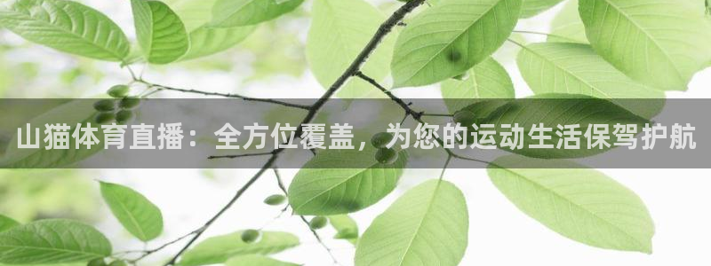 9255tv直播nba在线观看：山猫体育直播：全方位覆盖，为您的运动生活保驾护航