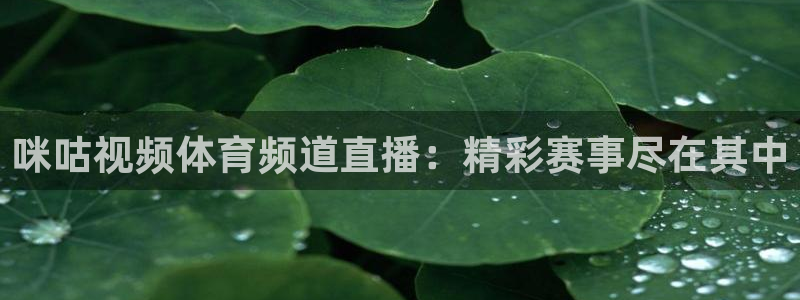 9255tv直播nba在线观看：咪咕视频体育频道直播：精彩赛事尽在其中
